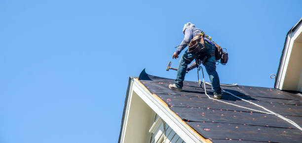 Roof Gutter Cleaning in Salem Lakes, WI